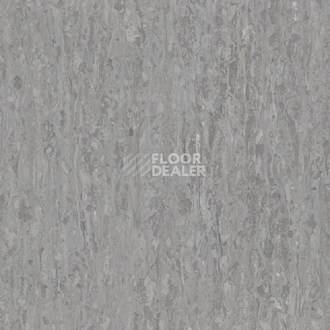 Линолеум Tarkett iq Optima Neutral Grey 0242 фото 1 | FLOORDEALER
